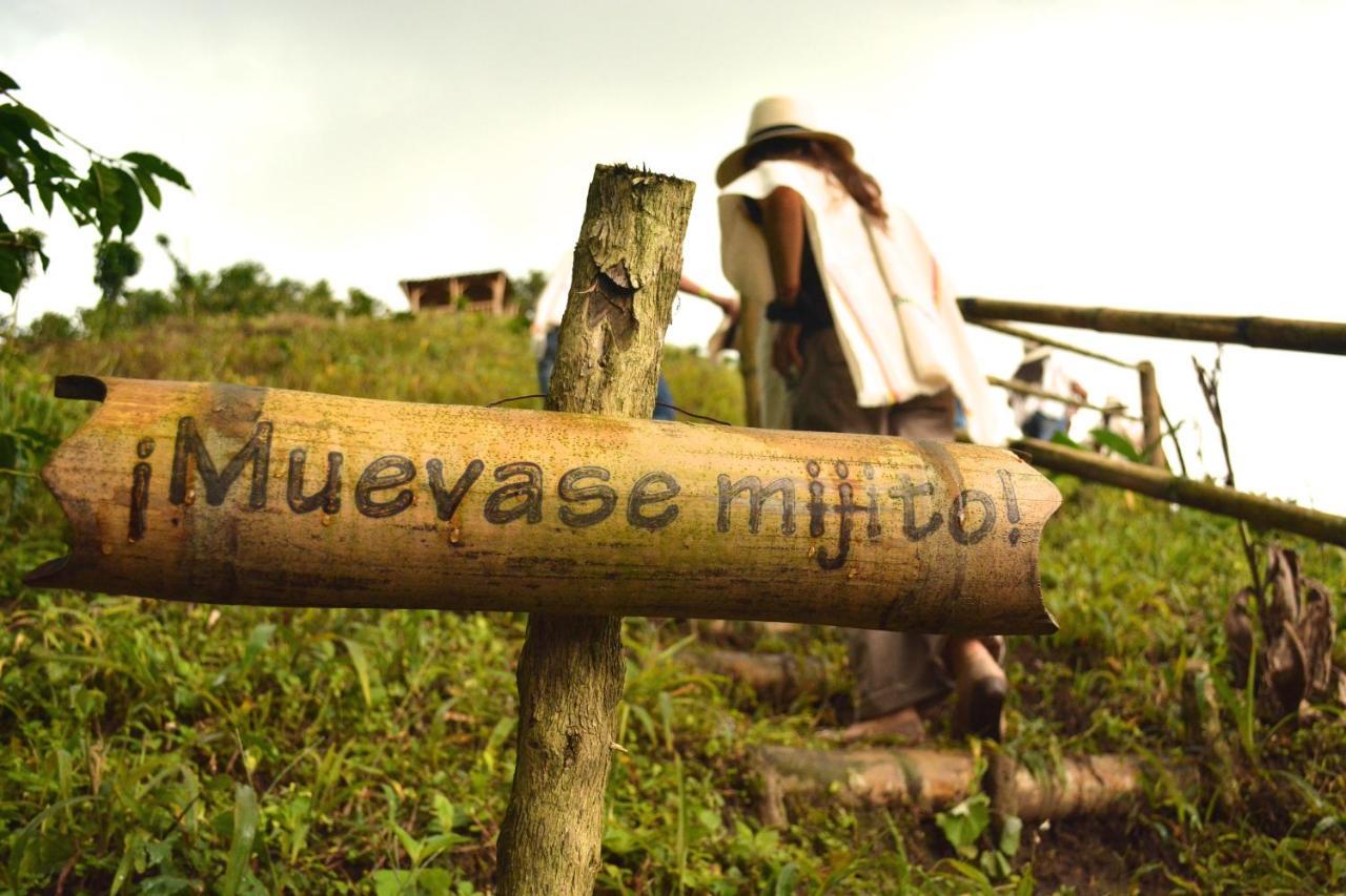 Finca Del Cafe - Casa Typica Santa Rosa de Cabal Ngoại thất bức ảnh