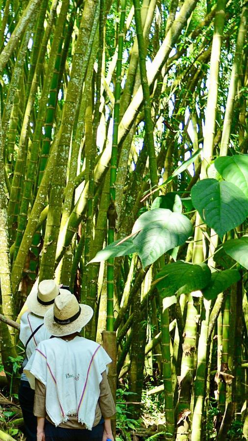 Finca Del Cafe - Casa Typica Santa Rosa de Cabal Ngoại thất bức ảnh