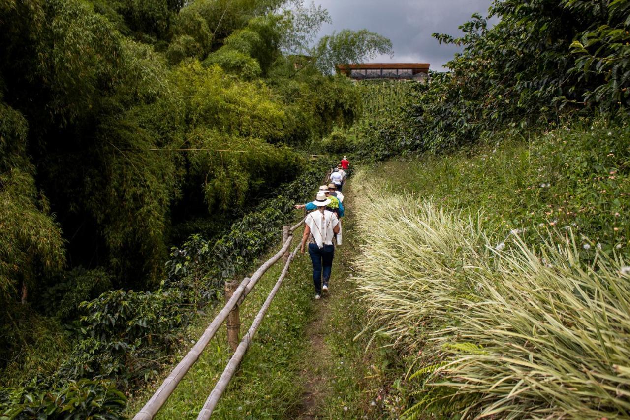 Finca Del Cafe - Casa Typica Santa Rosa de Cabal Ngoại thất bức ảnh