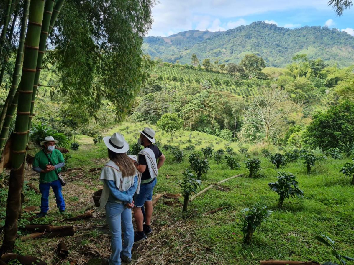 Finca Del Cafe - Casa Typica Santa Rosa de Cabal Ngoại thất bức ảnh